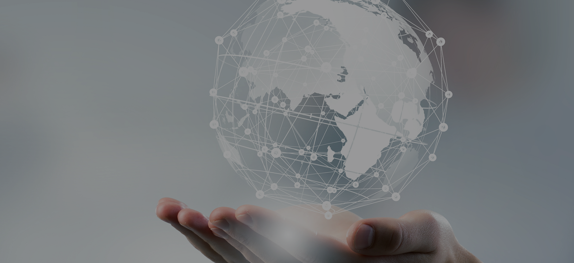 Palmsin-slackwax-SN600-SN150-SNBR.ST